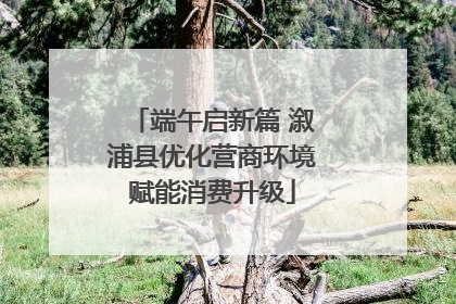 端午启新篇 溆浦县优化营商环境赋能消费升级