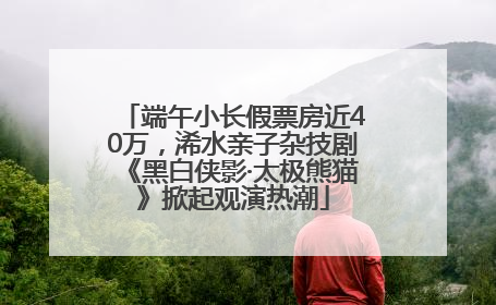 端午小长假票房近40万，浠水亲子杂技剧《黑白侠影·太极熊猫》掀起观演热潮