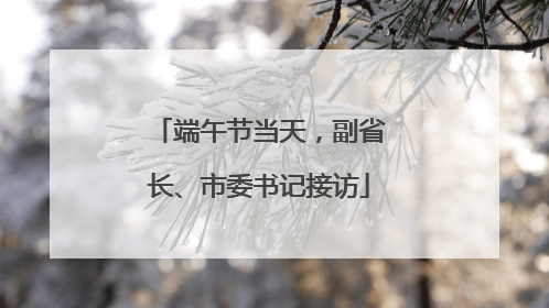 端午节当天，副省长、市委书记接访
