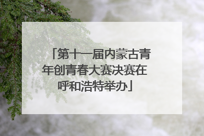 第十一届内蒙古青年创青春大赛决赛在呼和浩特举办