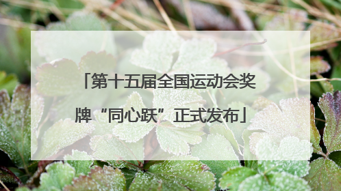 第十五届全国运动会奖牌“同心跃”正式发布