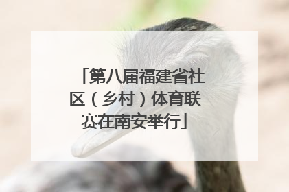 第八届福建省社区（乡村）体育联赛在南安举行