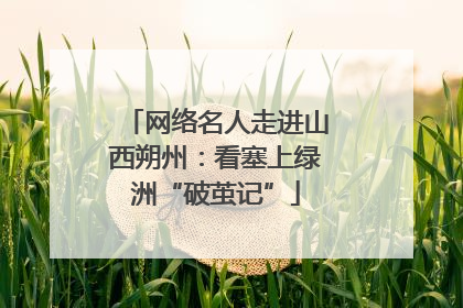 网络名人走进山西朔州：看塞上绿洲“破茧记”