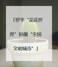 罗平“花花世界”扮靓“全国文明城市”