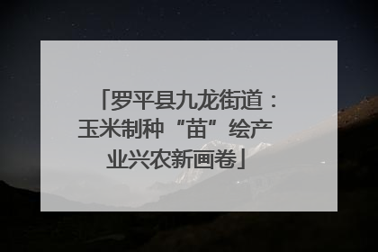 罗平县九龙街道：玉米制种“苗”绘产业兴农新画卷