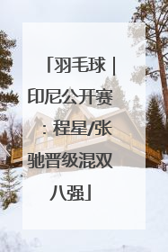 羽毛球｜印尼公开赛：程星/张驰晋级混双八强