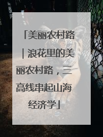 美丽农村路｜浪花里的美丽农村路，三高线串起山海经济学