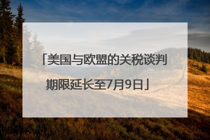 美国与欧盟的关税谈判期限延长至7月9日