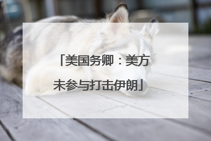 美国务卿：美方未参与打击伊朗