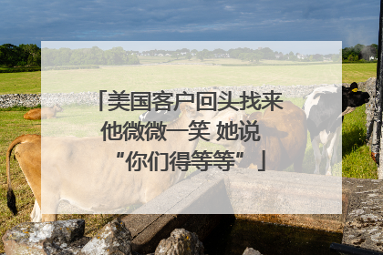 美国客户回头找来 他微微一笑 她说“你们得等等”