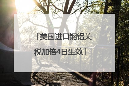 美国进口钢铝关税加倍4日生效