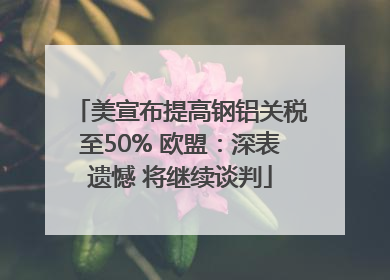 美宣布提高钢铝关税至50% 欧盟：深表遗憾 将继续谈判