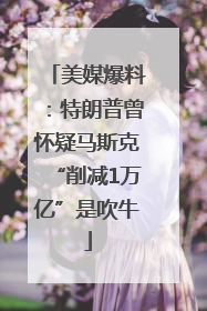 美媒爆料：特朗普曾怀疑马斯克“削减1万亿”是吹牛