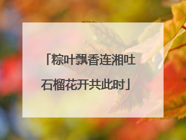 粽叶飘香连湘吐 石榴花开共此时
