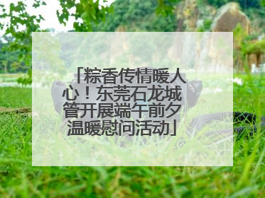 粽香传情暖人心！东莞石龙城管开展端午前夕温暖慰问活动