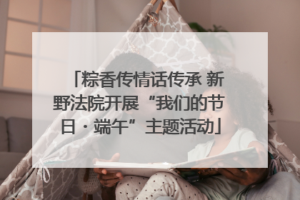 粽香传情话传承 新野法院开展“我们的节日・端午”主题活动