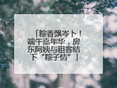 粽香飘岑卜！端午嘉年华，房东阿姨与租客结下“粽子情”