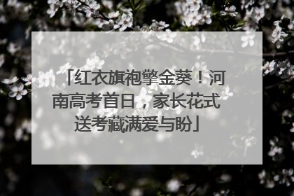 红衣旗袍擎金葵！河南高考首日，家长花式送考藏满爱与盼