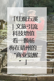 红观五溪｜文旅引流 科技增值 看一颗杨梅在靖州的“商业觉醒”