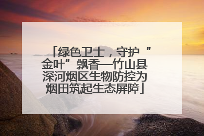 绿色卫士，守护“金叶”飘香—竹山县深河烟区生物防控为烟田筑起生态屏障