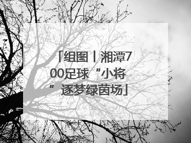 组图丨湘潭700足球“小将”逐梦绿茵场