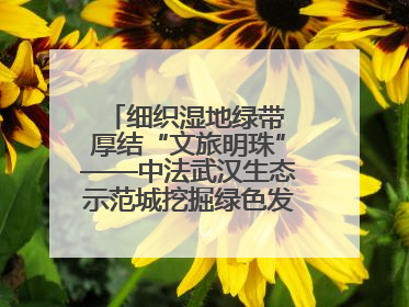 细织湿地绿带 厚结“文旅明珠”——中法武汉生态示范城挖掘绿色发展新动能