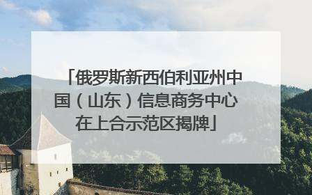 俄罗斯新西伯利亚州中国（山东）信息商务中心在上合示范区揭牌