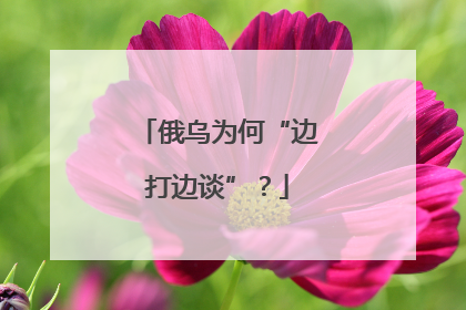 俄乌为何“边打边谈”？