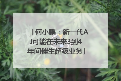何小鹏：新一代AI可能在未来3到4年间催生超级业务
