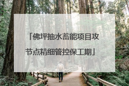 佛坪抽水蓄能项目攻节点精细管控保工期