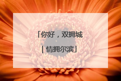 你好，双拥城｜情拥尔滨