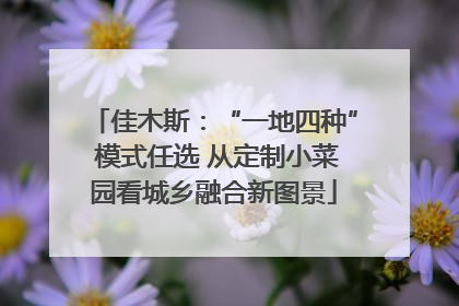 佳木斯：“一地四种” 模式任选 从定制小菜园看城乡融合新图景