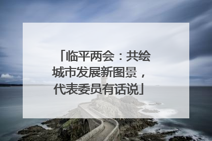 临平两会：共绘城市发展新图景，代表委员有话说