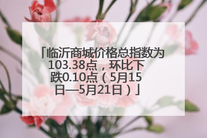 临沂商城价格总指数为103.38点，环比下跌0.10点（5月15日—5月21日）