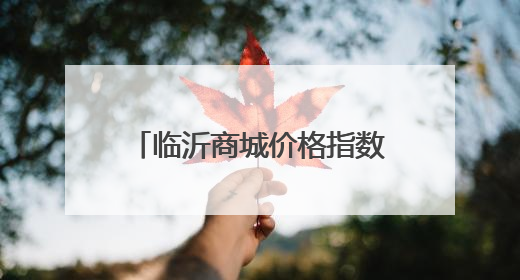 临沂商城价格指数分析（6月19日—6月25日）