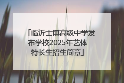 临沂士博高级中学发布学校2025年艺体特长生招生简章