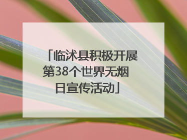 临沭县积极开展第38个世界无烟日宣传活动