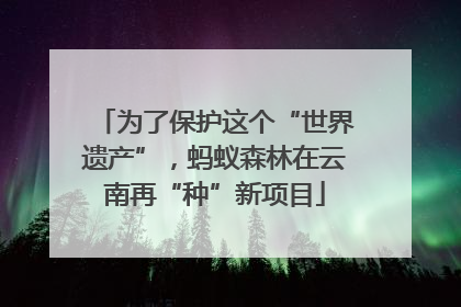 为了保护这个“世界遗产”，蚂蚁森林在云南再“种”新项目
