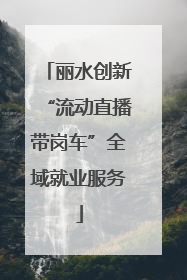 丽水创新“流动直播带岗车”全域就业服务
