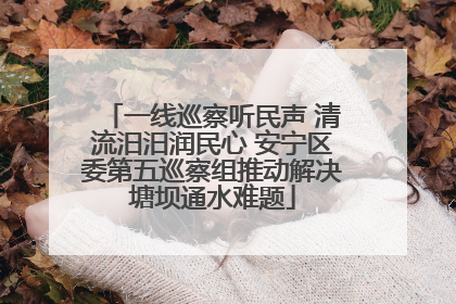 一线巡察听民声 清流汨汨润民心 安宁区委第五巡察组推动解决塘坝通水难题
