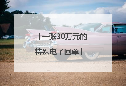 一张30万元的特殊电子回单
