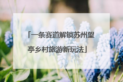 一条赛道解锁苏州望亭乡村旅游新玩法