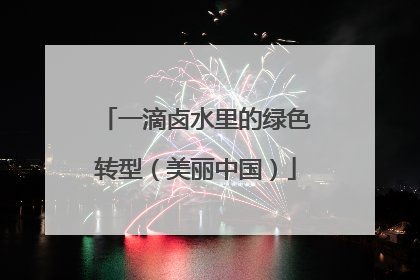 一滴卤水里的绿色转型（美丽中国）