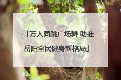 万人同跳广场舞 助推岳阳全民健身新格局
