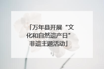 万年县开展“文化和自然遗产日”非遗主题活动
