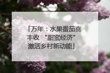 万年：水果番茄喜丰收 “甜蜜经济”激活乡村新动能