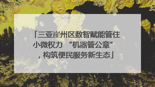 三亚崖州区数智赋能管住小微权力 “机器管公章”，构筑便民服务新生态
