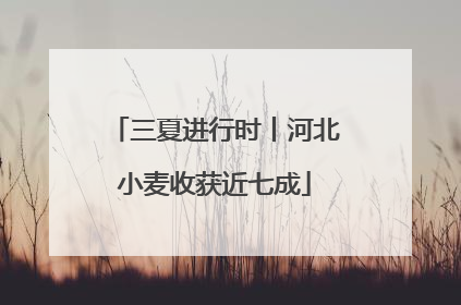 三夏进行时丨河北小麦收获近七成