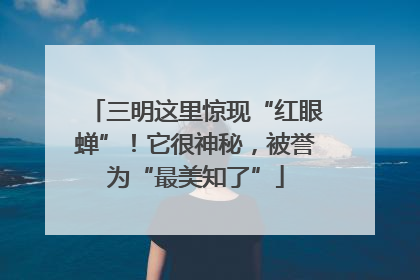 三明这里惊现“红眼蝉”！它很神秘，被誉为“最美知了”