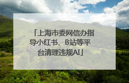 上海市委网信办指导小红书、B站等平台清理违规AI